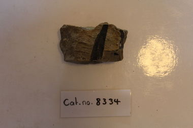 Mudstone with woody fragments