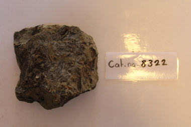 Large mudstone with jumbled fossils