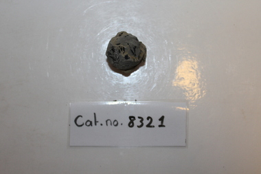 Small mudstone fragments