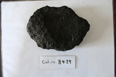 Bit of coal