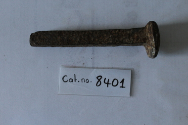 Rail spike