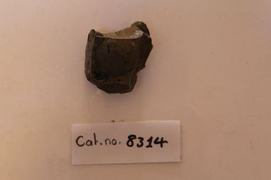 Concrestion with fossils