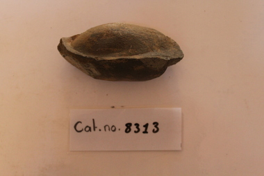 Pseudofossil "egg"