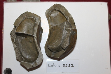 Cloven pseudofossil