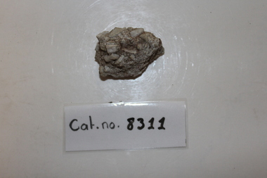 Small white conglomerate