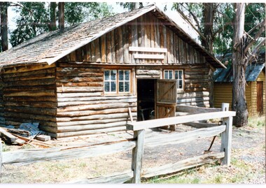 Photograph (item) - Slab Building used as a dairy and cattle housing, Coal Creek Community Park & Museum
