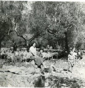 Photograph, Journey back to Ithaca, 1952