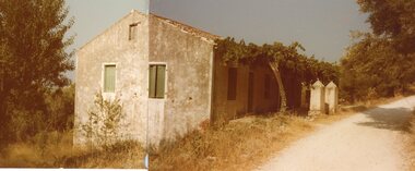 Photograph, Stavros 'Patriko', c1980s