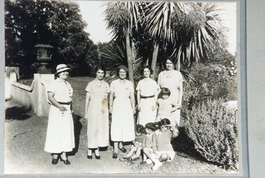 Photograph