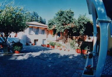The courtyard is bathed in sunlight with potted plants placed around its border.