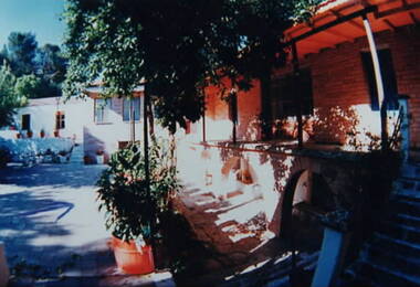 A view of the paved courtyard with potted plants.