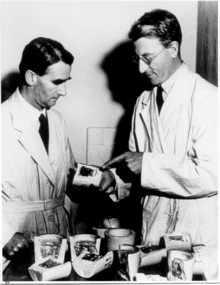 Photograph, Optical Munitions (Duplicate)
