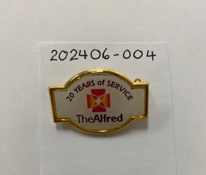 A badge with pin on the back. Coloured enamel with written text.