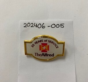  A badge with pin on the back. Coloured enamel with written text.