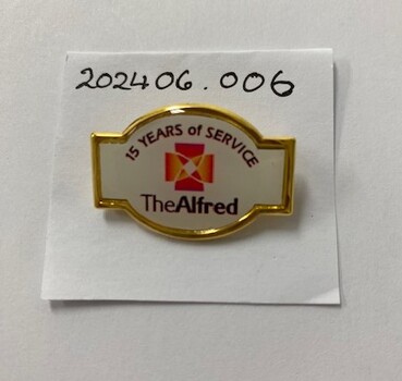 A badge with pin on the back. Coloured enamel with written text.