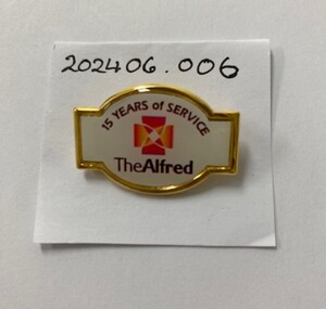 A badge with pin on the back. Coloured enamel with written text.