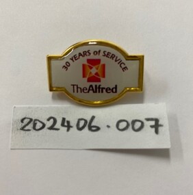A badge with pin on the back. Coloured enamel with written text.