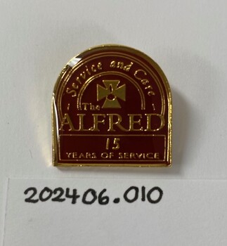 A badge with pin on the back. Coloured enamel with written text.