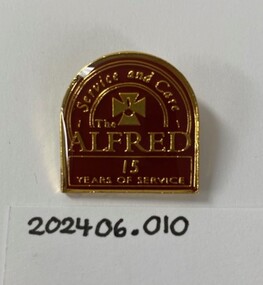 A badge with pin on the back. Coloured enamel with written text.