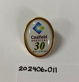 A badge with pin on the back. Coloured enamel with written text.