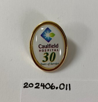A badge with pin on the back. Coloured enamel with written text.