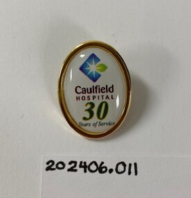 A badge with pin on the back. Coloured enamel with written text.