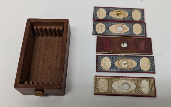 Photograph of a Brass and glass microscope slides, including small wooden storage box. The photo shows 4 glass slides with patterns on them, and the wooden box and separate lid.