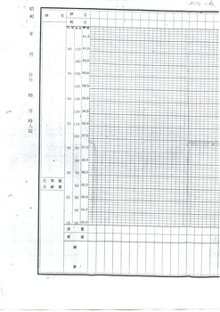 Japanese Medical Observation Chart [ca.1940's]