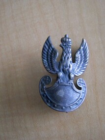 eagle from soldiers berret