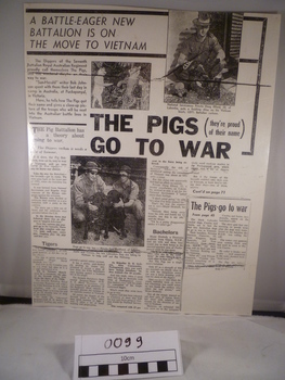 Iimages of two soldiers and two dogs, two men in costume of a pig and a tiger, one shows taking care of his boot.