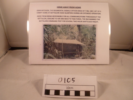 A reprint colour photograph of s small shed surrounded by bamboos.