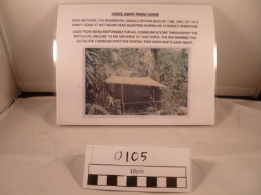 A reprint colour photograph of s small shed surrounded by bamboos.