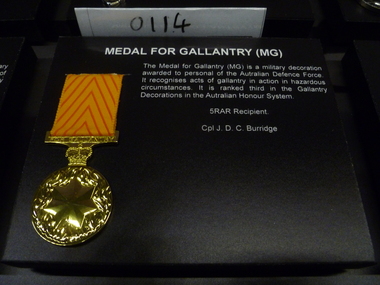 Medal - Medal, Replica, Medal for Gallantry (MG)