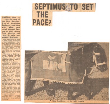 A Newspaper Clipping Titled Septimus To Set The Pace?