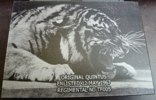 A black and white picture on black wood of a tiger laying down and roaring.