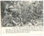  A propaganda Booklet of 21 pages contains 12 pages of black and white photos. Title translation - "Diary of a Returnee"