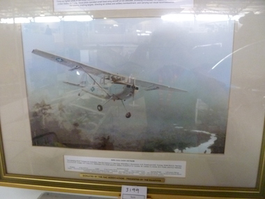 Print, Bird Dog Over Vietnam