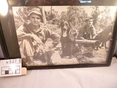 Photograph, Tracker Dogs