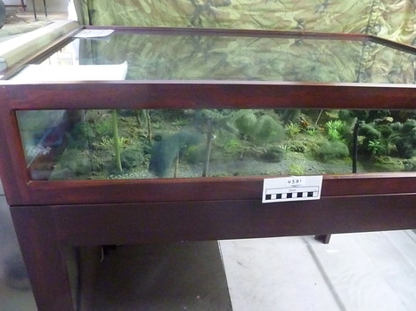 

A diorama of the jungle in Vietnam.