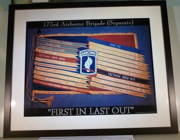 173rd Airborne Brigade Banner (Separate) "First In Last Out"