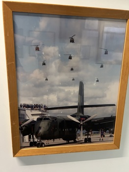 A Framed Coloured Photograph of a Caribou on the Tarmac
