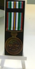 Medal, Anniversary of National Service medal