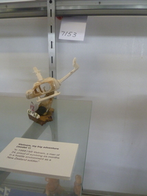 Model, Model Number 2