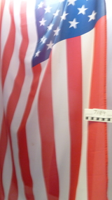 Flag, 'More Flags' program