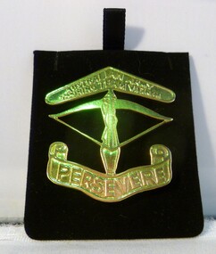 Uniform - Uniform, Army, AATTV Persevere