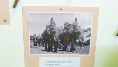 Photograph, Montagnards working elephant c1965