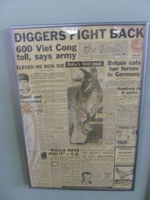 Newspaper