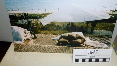 Photograph