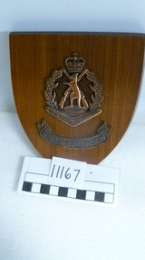 Plaque, Ninth Battalion