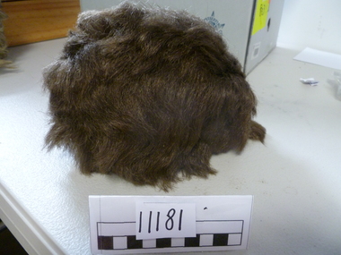 Headwear, Wig